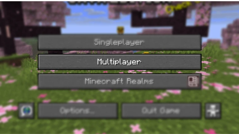 Multiplayer menu